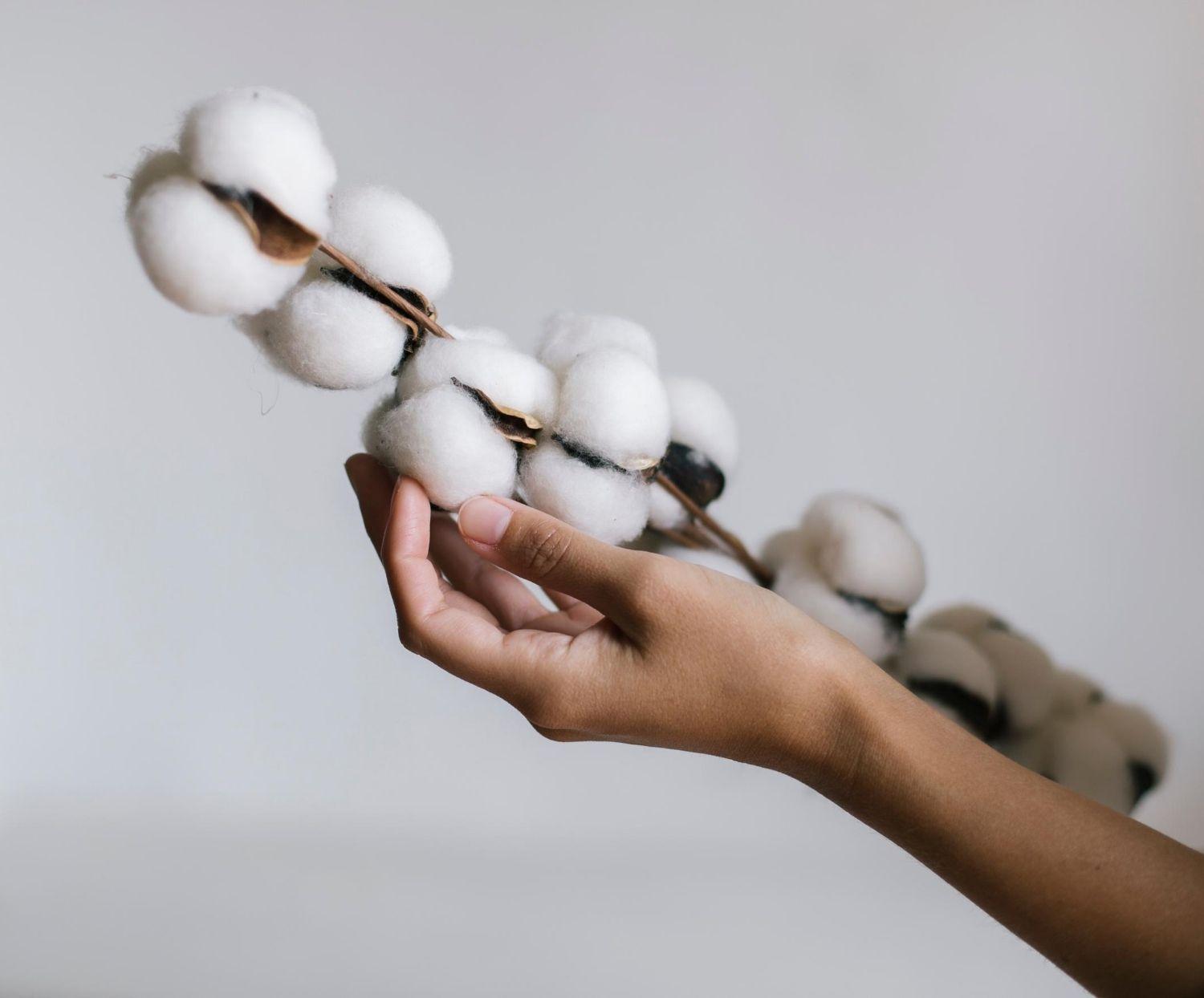 Dekoflower Cotton Branch